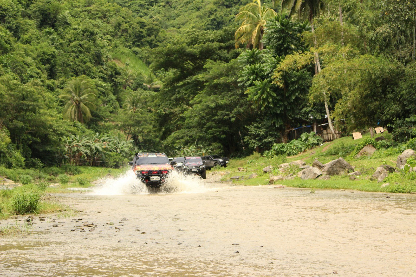 Cars are crossing a river in the green forest.